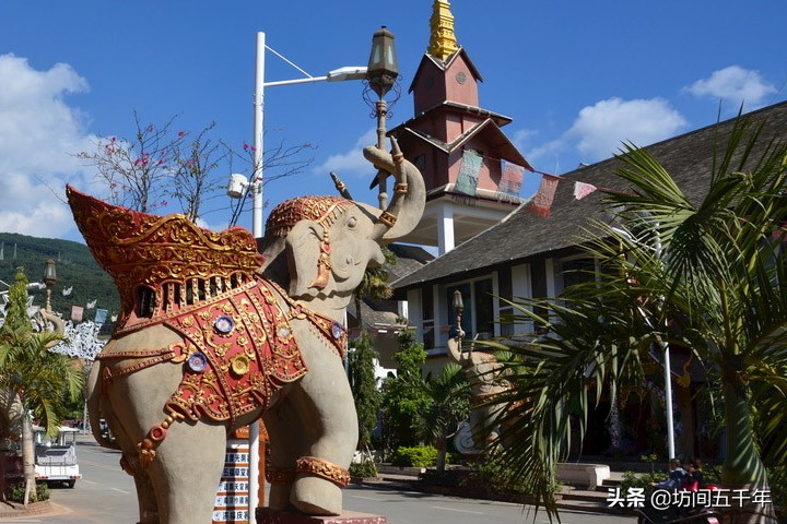 现存的史前大象有哪些,中国大象历史纪录