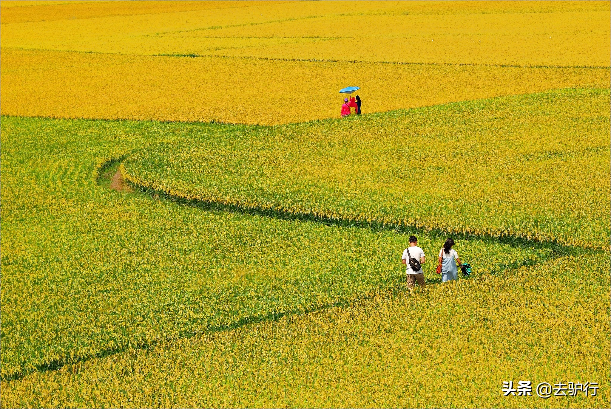 福建龙岩经济落后吗,福建龙岩靠什么发展
