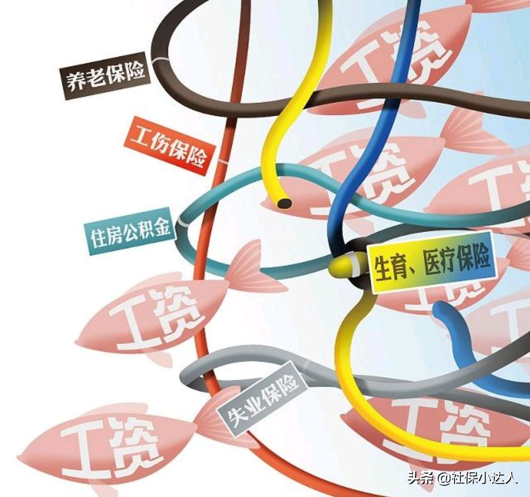 五险一金真的很重要吗今日话题,五险一金真的那么重要嘛