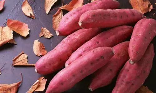 不想吃东西可以吃什么补营养,白癜风主要吃啥菜比较好得快