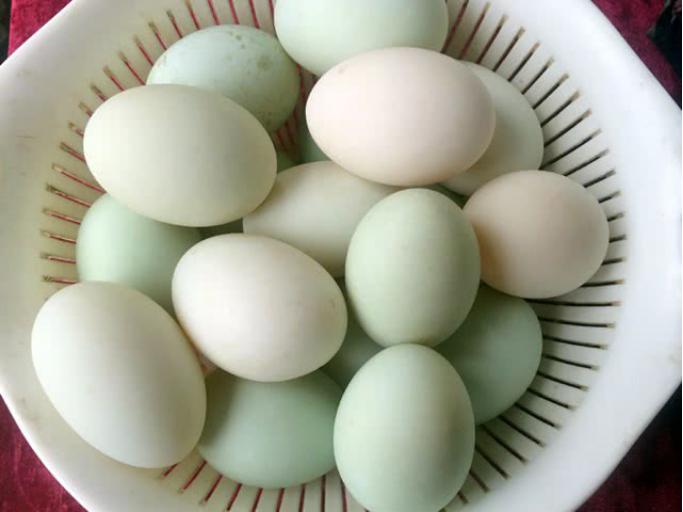 腌咸鸭蛋正确的方法100个放多少盐,腌制咸鸭蛋流油和起沙的几个窍门