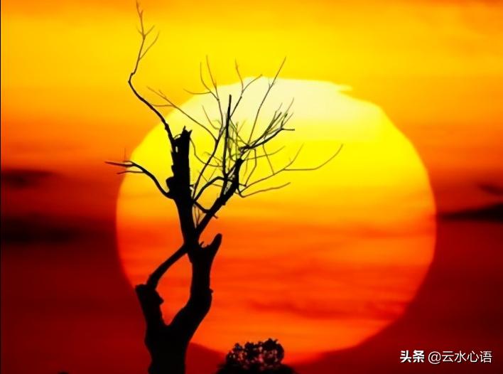 白居易经典七律古诗十首,白居易10首经典诗词七言绝句