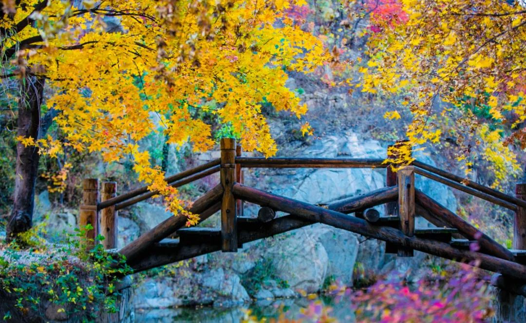 九如山冬日旅游,九如山旅游攻略一日游春季