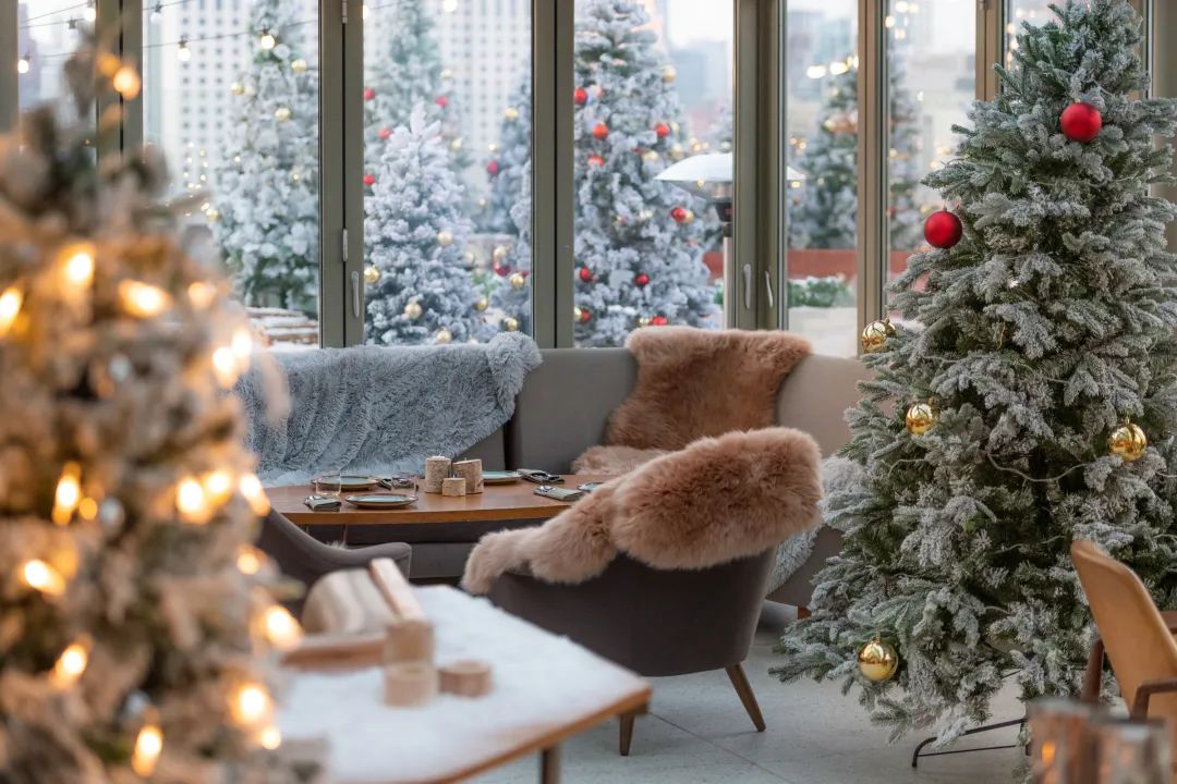 上海哪里圣诞树最好,上海千树圣诞树