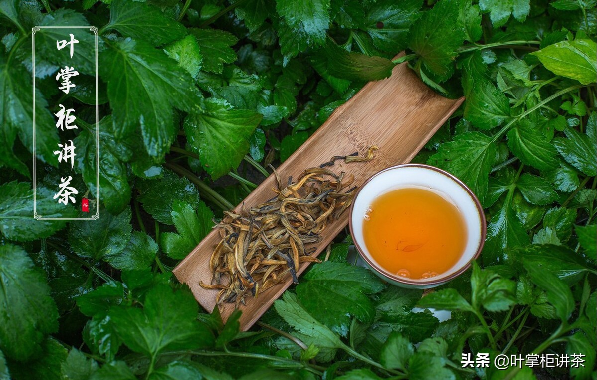 滇红茶怎么选择味道好喝的,云南滇红有什么好吃的