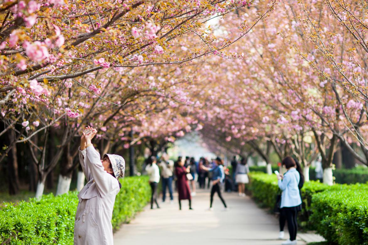 托福119分学霸,高考英语接近满分的女学霸