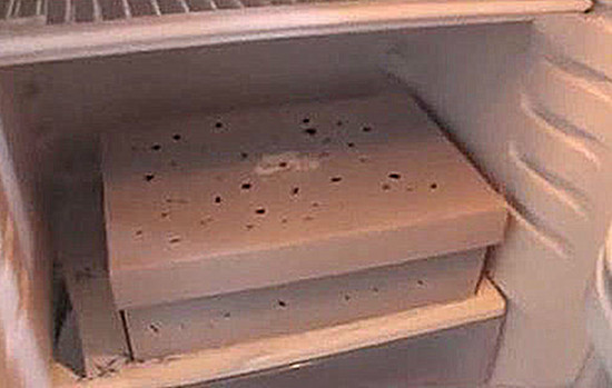 乌龟迟迟不能冬眠会不会饿死,乌龟冬眠一直不爬出来