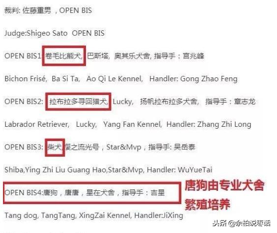 这才是真正的中华田园大黄犬,真正的中华田园犬是大黄狗吗