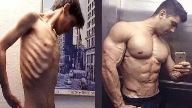 健身吃的蛋粉对人有害吗,健身蛋白蛋的功效与作用