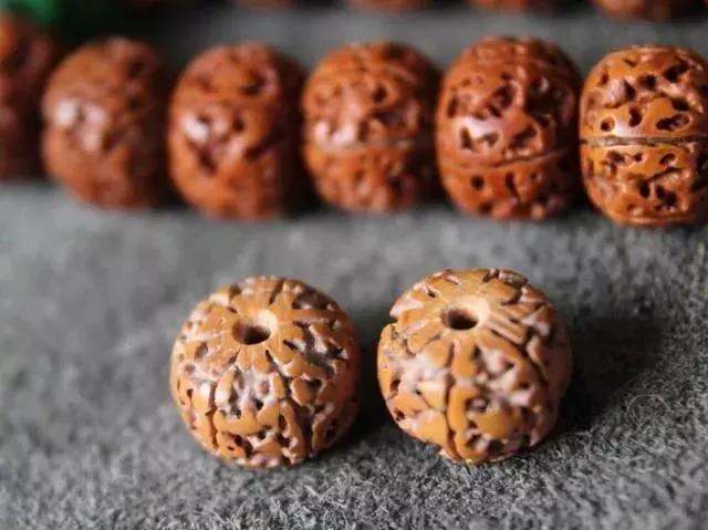 打磨藏式金刚教程,无齿藏式金刚菩提怎么盘