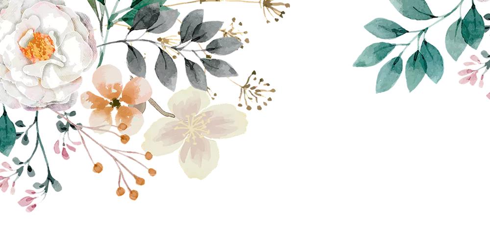 央视评论员谈乘风破浪的姐姐,主播参加乘风破浪的姐姐