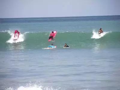 巴厘岛鸟园旅游攻略,大连至巴厘岛旅游自由行攻略