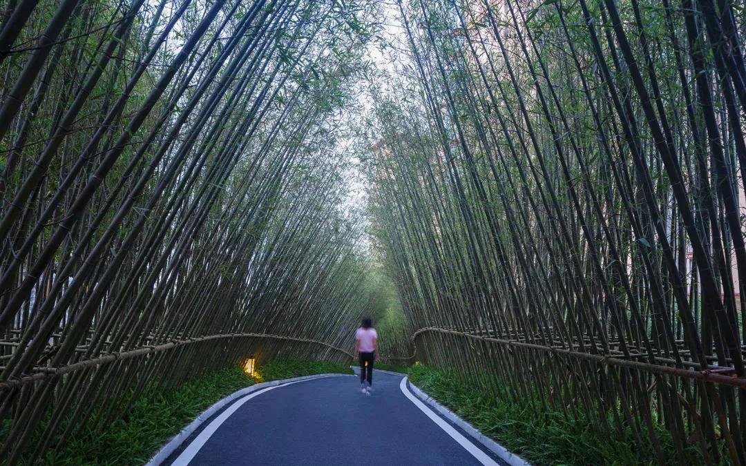 环球人居设计大奖推荐,ghda环球人居设计大奖含金量