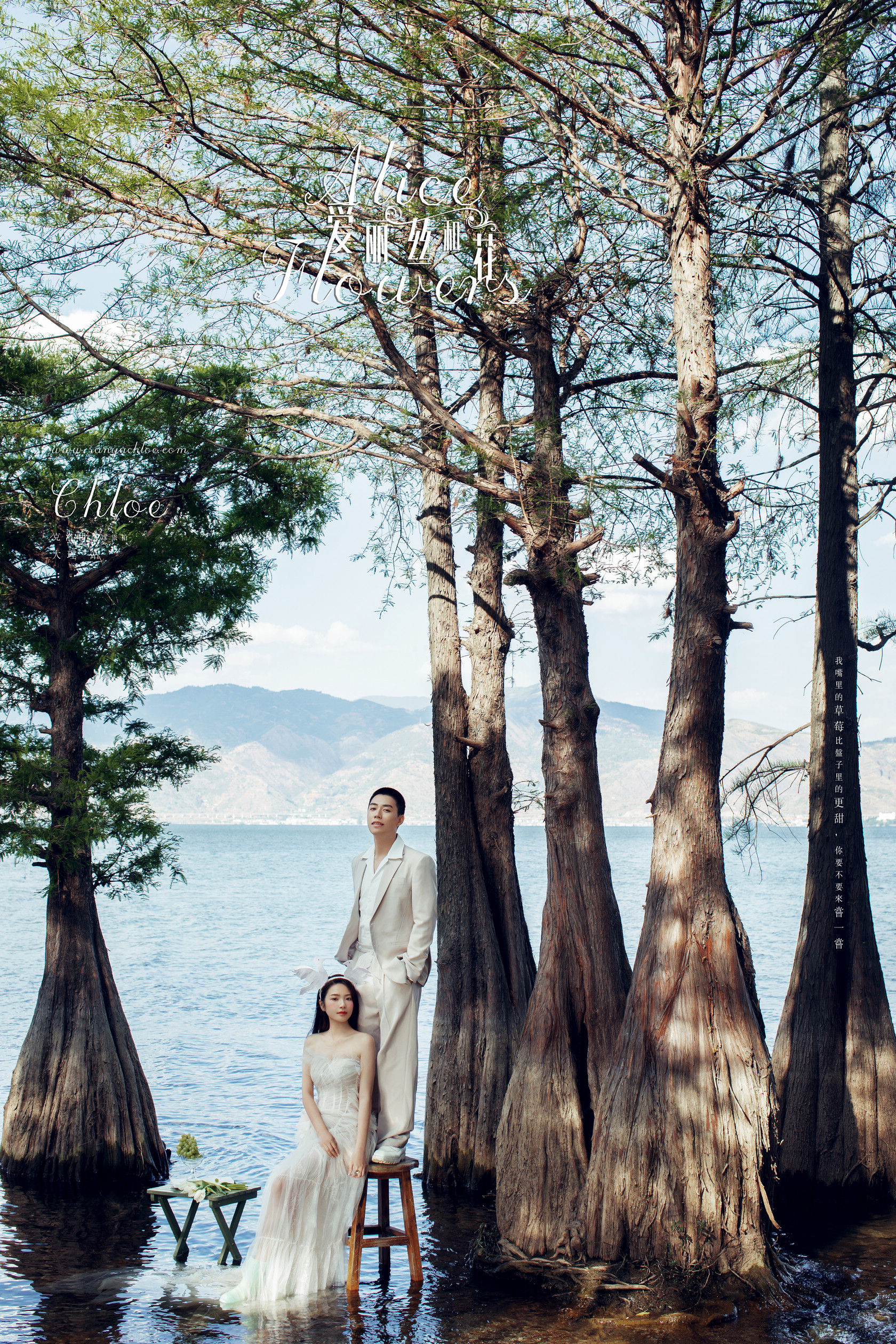 5套婚纱照选片技巧,婚纱照选片技巧及注意事项图片