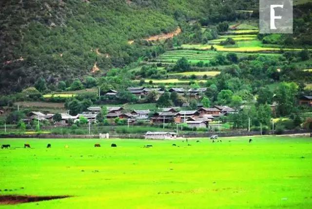 比雪山古城更诗意的是丽江的生活日常，只去一次怎么够