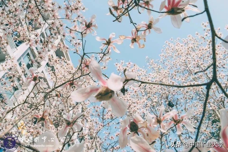 听好了!今天我们要夸矿大!