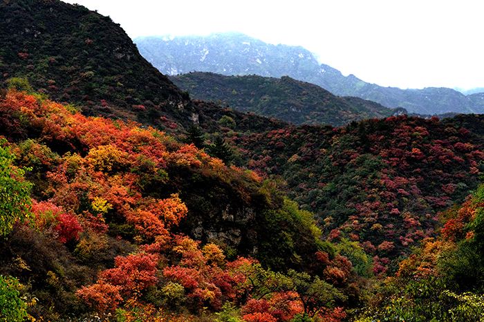 五一保定周边二日游的绝佳去处,周末保定市区休闲的地方