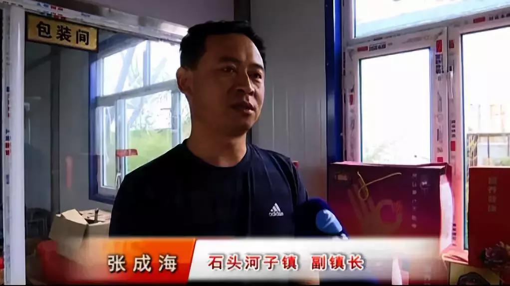 自强撑起梦想的蓝天——馨月浆果种植专业合作社理事长张喜良