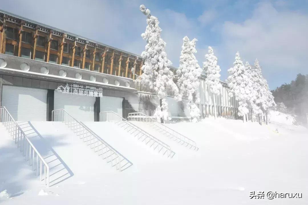 南方也能下雪吗,南方也能见到雪