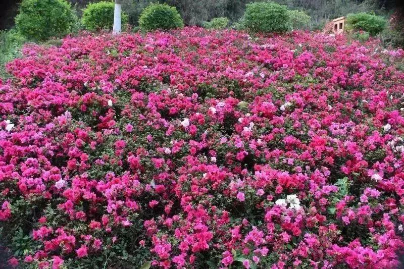 狂飙18级,狂飙18集公路飙车片段在哪