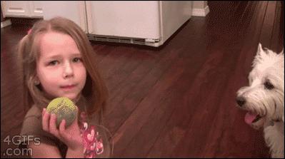 论坑娃我们是认真的,坑娃的十大恶心事