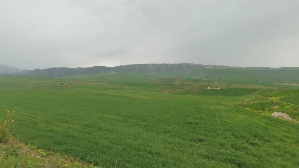 坐公共交通工具游新疆北疆攻略,从新疆坐大巴去俄罗斯