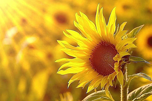 很冷很冷的冷知识故事,很冷很冷的冷知识一年级