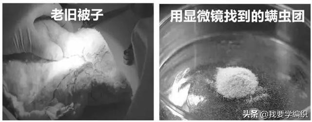 去除被子异味最基本最简单的方法,被子太久没晒有味道怎么办