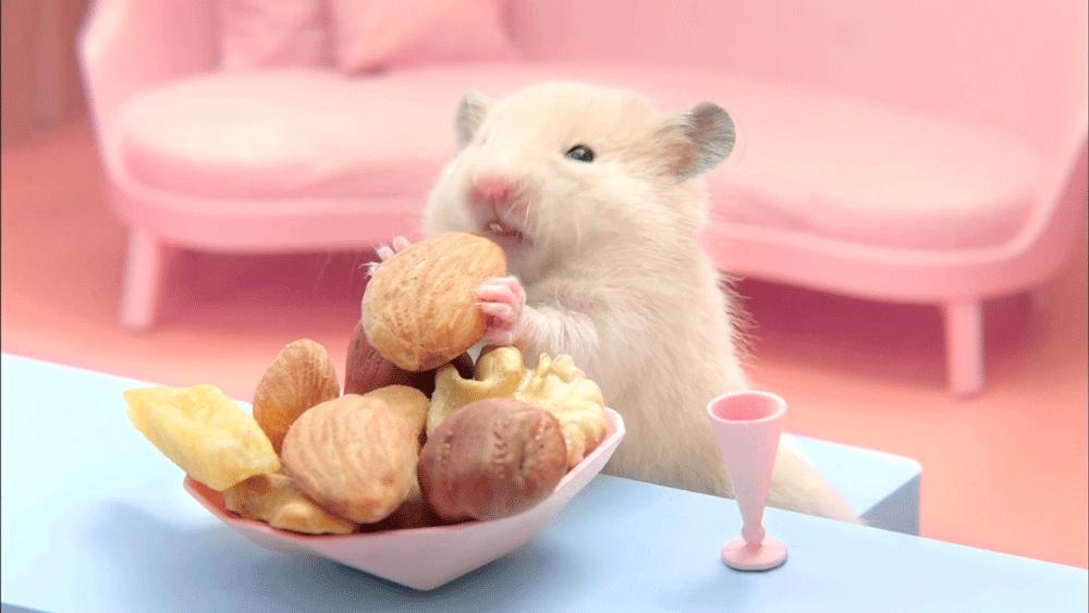 小老鼠儿童画全过程,幼儿画创意画小老鼠