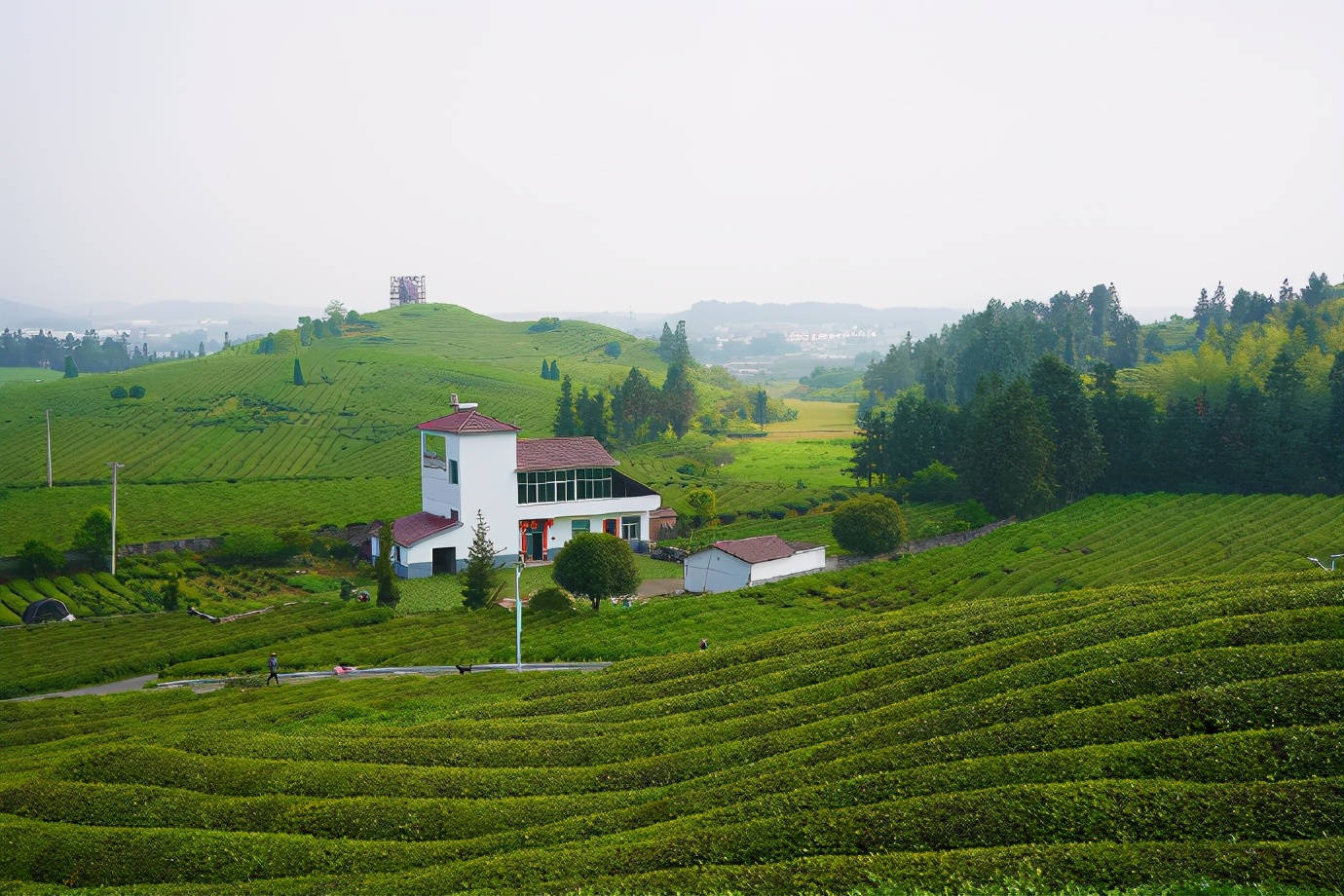 景德镇茶之源瓷之都,景德镇浮梁茶文化