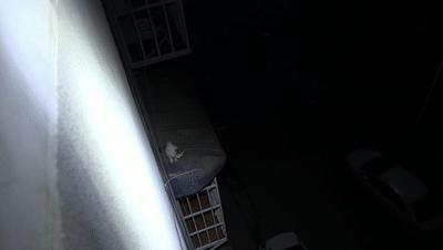 消防员破墙救援被困小猫,喵星人被困天井消防员成功救援