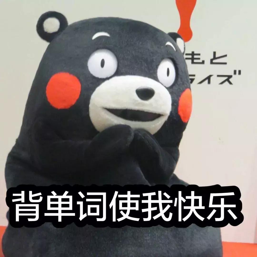 考研党常犯四大错误,考研专属错觉视频