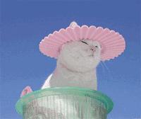 普及下，你对抗衰的误解有多深？