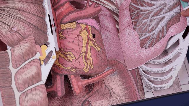 看病时不知道怎么说,看病是不是全部不舒服都要说