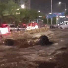 惊心动图+惨痛案例！物业人需提醒业主汛期防灾避险知识多重要？