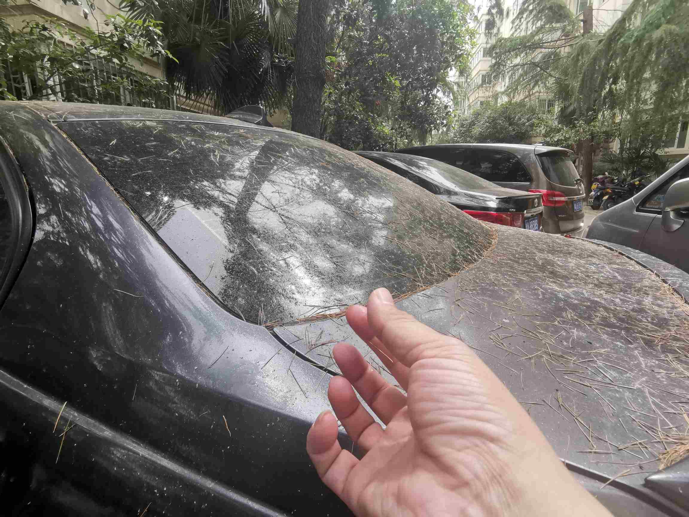 小区车位上漏油导致业主摔伤,小区树木滴油找谁处理