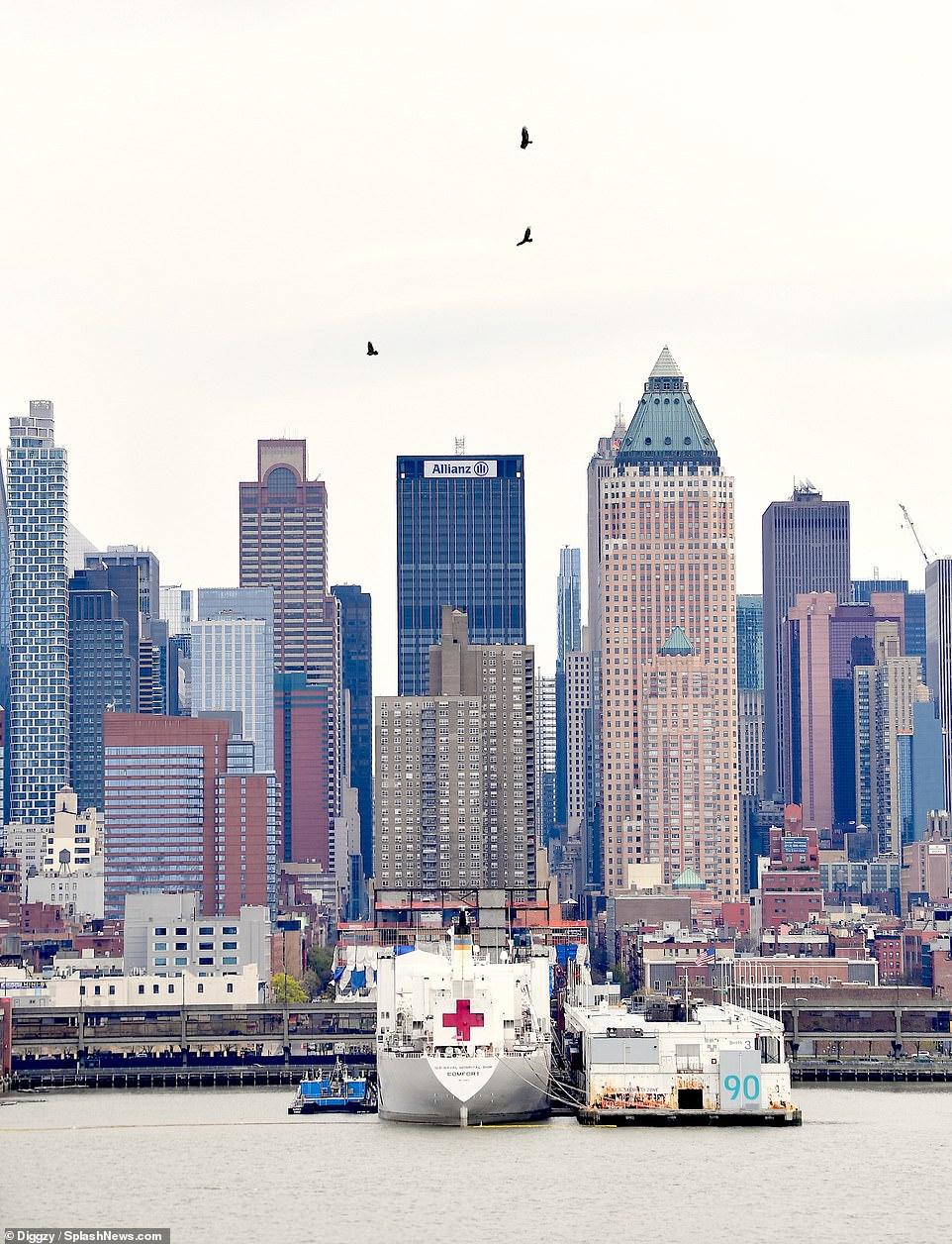 到底有多少真相被隐瞒？美军医疗船迎来意外之客，原因让人很揪心