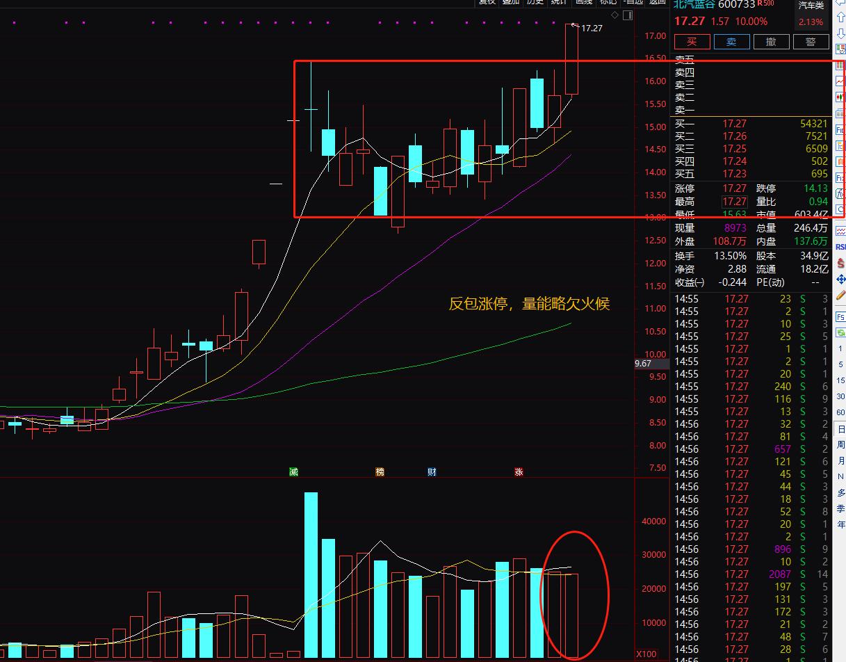 航运股暴涨,航运股爆发