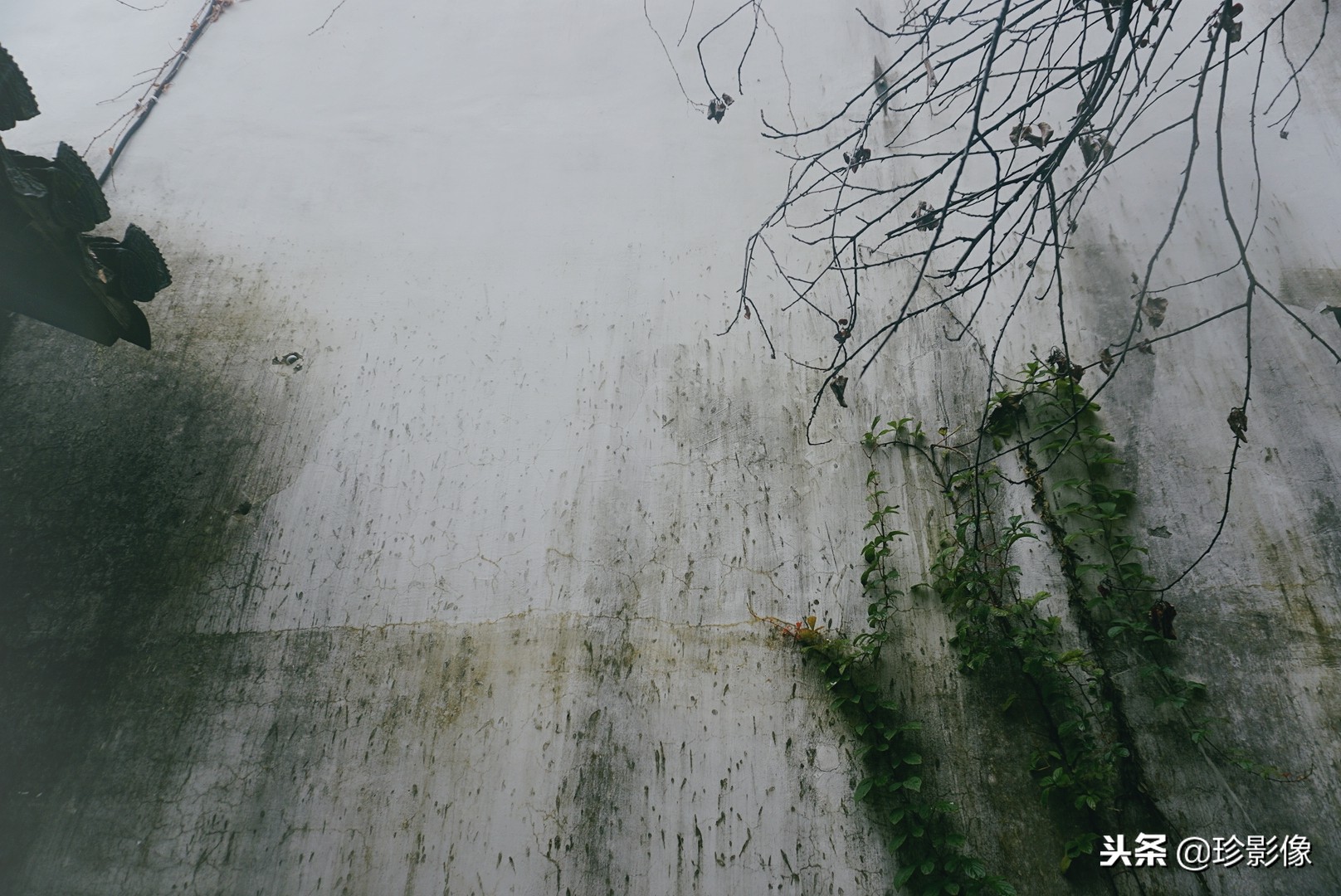 婺源紫阳镇熹园,婺源紫阳熹园