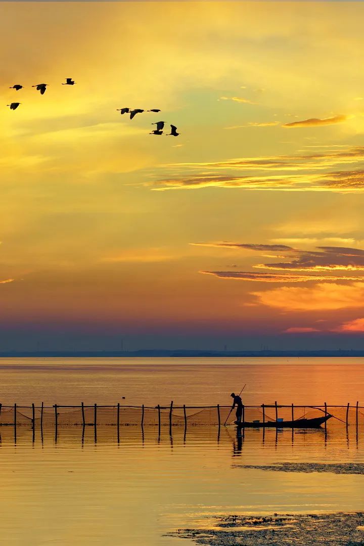 苏州精致生活,苏州人的精致都在一碗面里