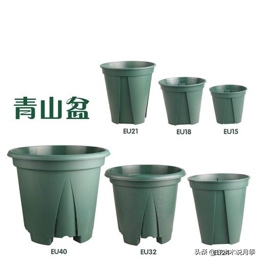 养好月季6大诀窍，附带配土、浇水、施肥详细教程。助你花开满园