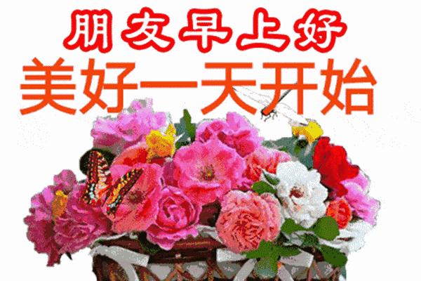 最新微信早安问候图片大全,最美早安问候动态表情图片大全