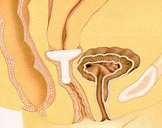 pop玩不了了怎么办,发生sae怎么办