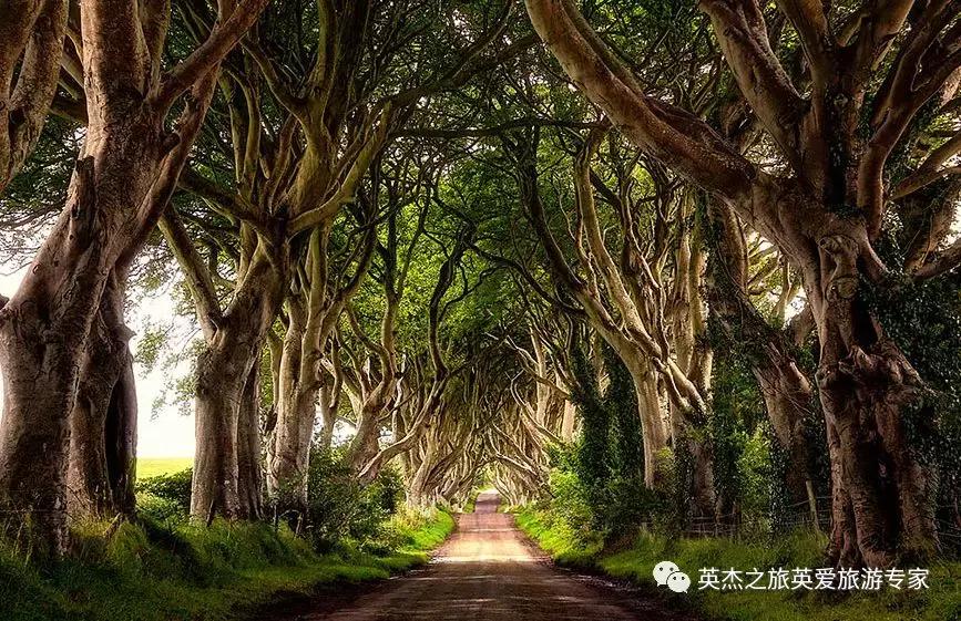 一场充满趣味的自驾旅游,大不列颠环岛游玩攻略