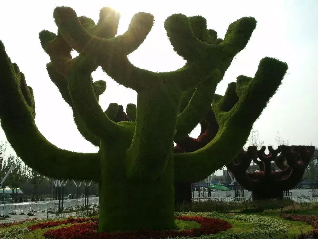 央视西安夜景浐灞,央视新闻直播西安电视台