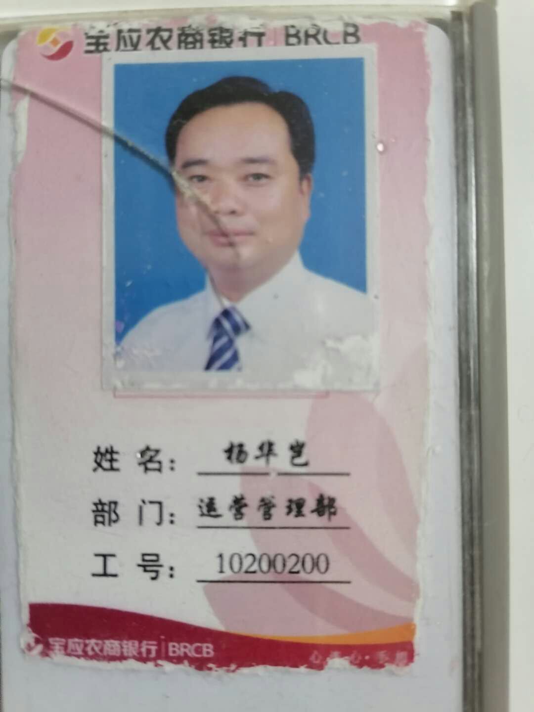 记疫情下的宝应农商银行运营部加钞员杨华岂