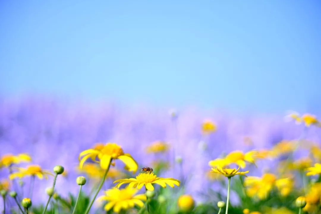 中药调理湿疹一般多久能痊愈,一味中药治湿疹视频