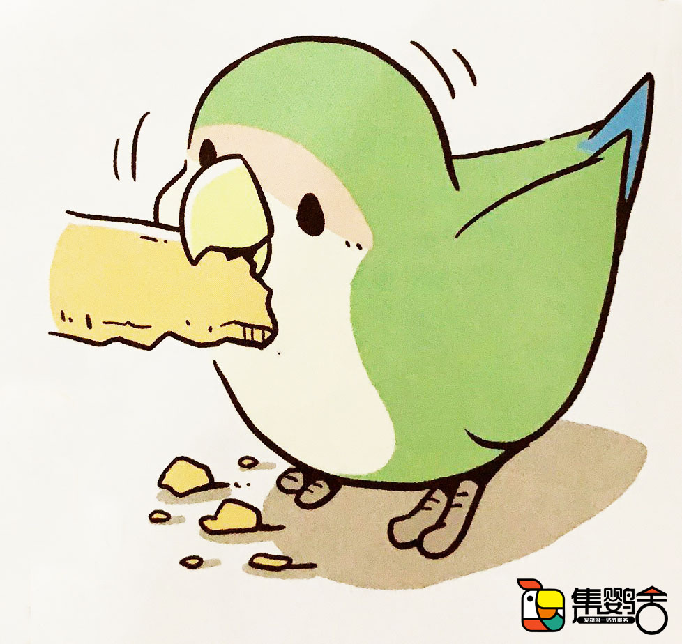 玄凤鹦鹉是哈士奇吗,玄凤公鹦鹉哈气