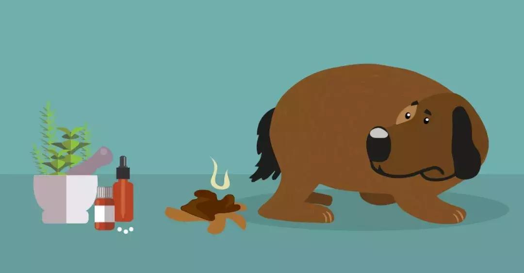 拉稀像撒尿一样怎么办,拉稀像尿尿一样怎么办