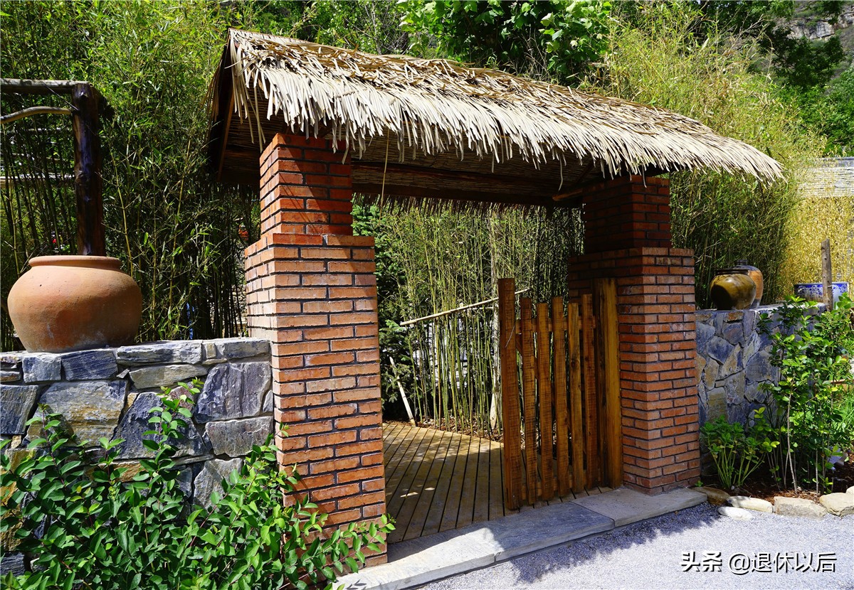 森林中的童话树屋,原始森林里的童话世界